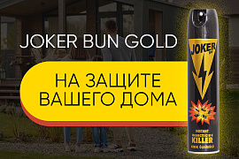 Незваным гостям вход воспрещён: как JOKER BUN GOLD помогает защитить дом