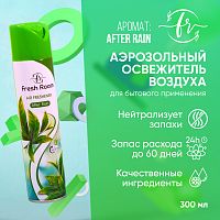 Освежитель воздуха Fresh Room После дождя 300 мл