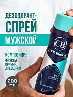 Дезодорант спрей мужской COOL BREEZE CB Wild 200 мл