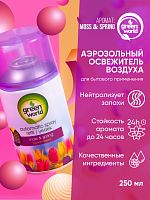 Освежитель воздуха (сменный баллон) Green World Moss&spring 250 мл